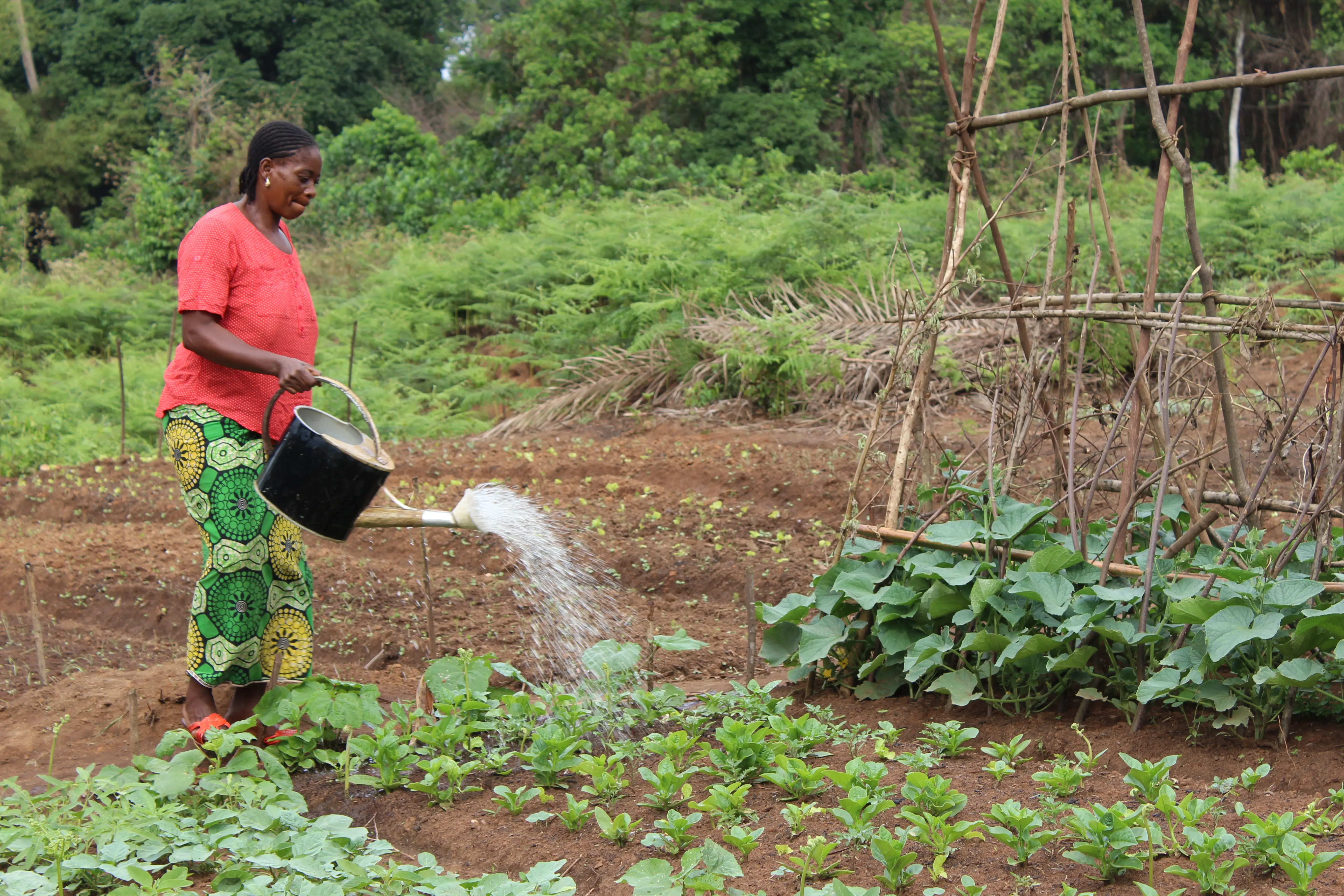 Woman gardening