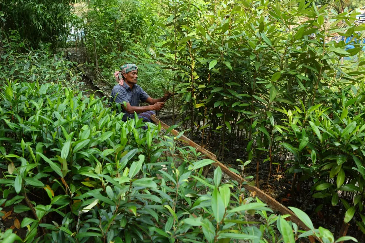 Man in forest