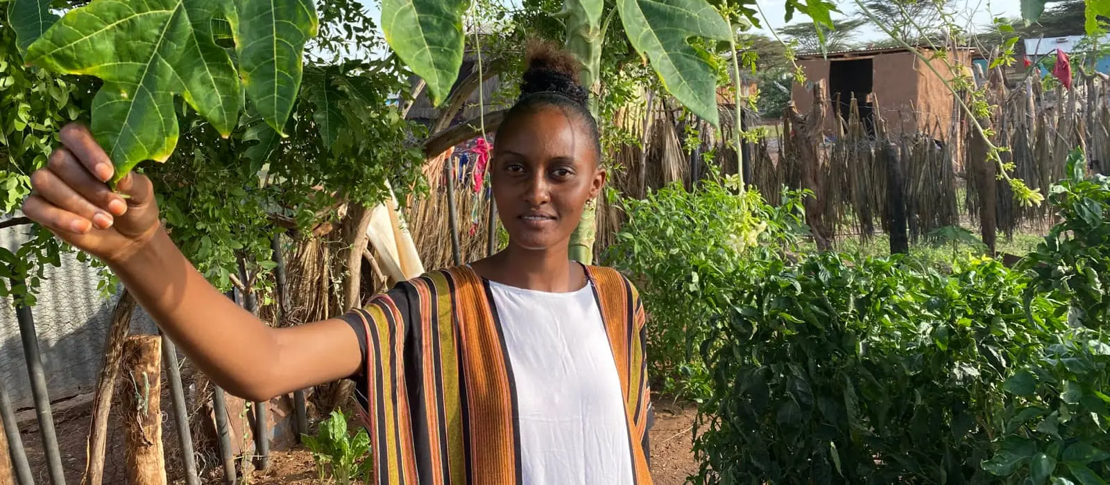 Woman in kitchen garden 