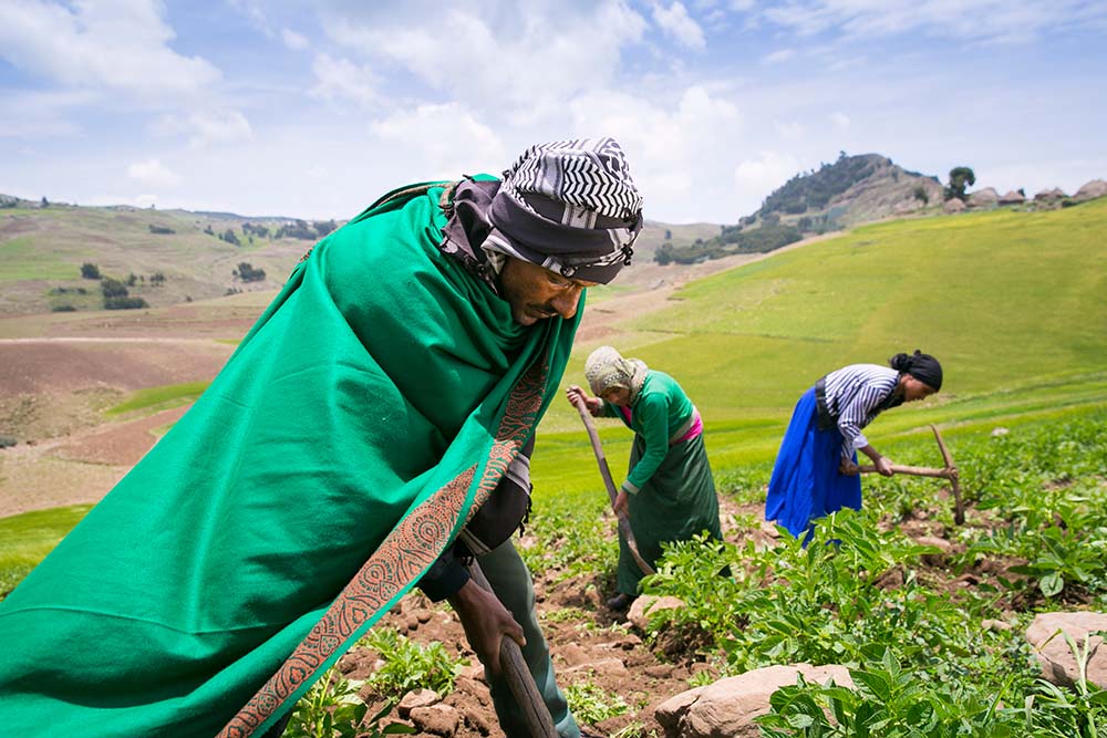 Ali and his family farming