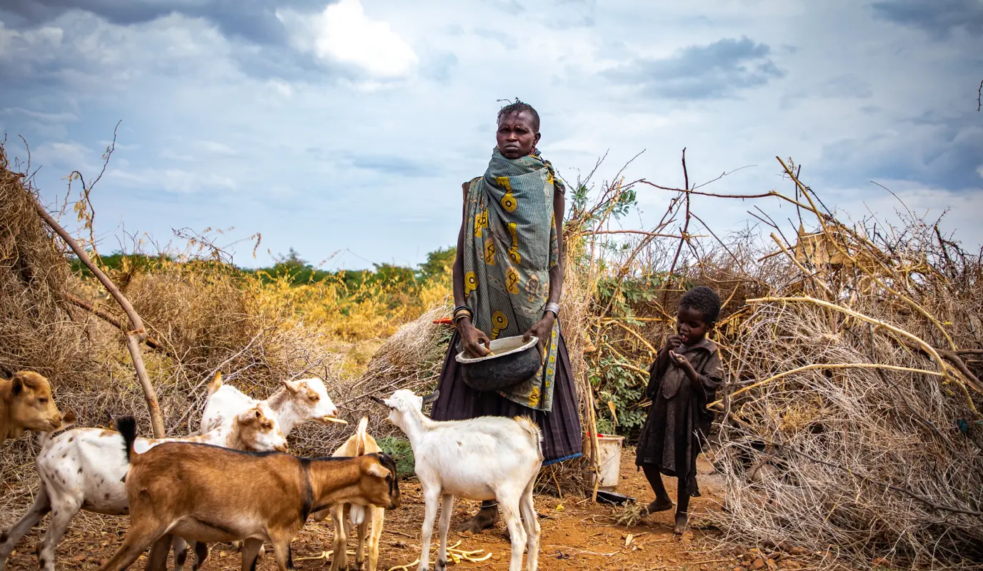 Ng’ikario Ekiru with the last of her goat herd outside their home in Turkana, northern Kenya. She is feeding her family and livesstock with wild desert fruit and roasted animal hides as the area experiences the second drought in 3 years. (Photo: Gavin Douglas / Concern Worldwide)