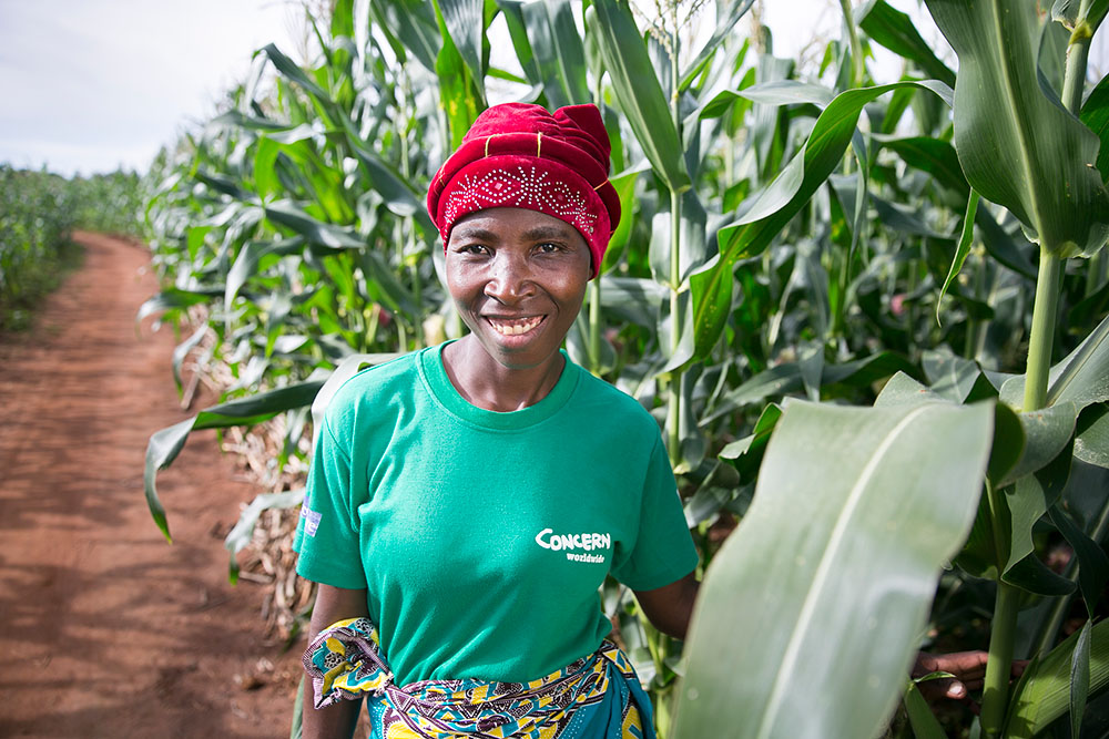 Woman in maize field