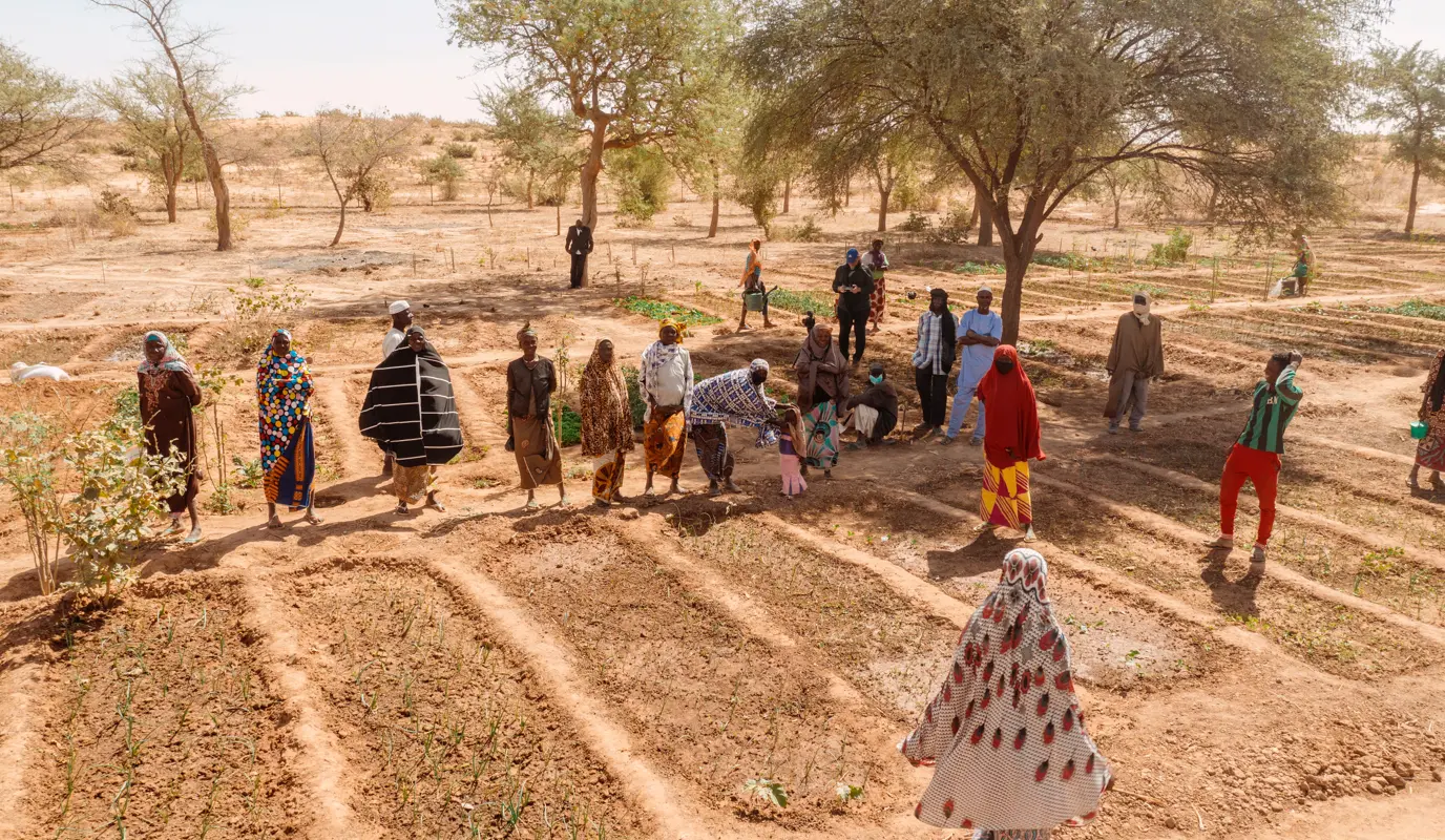 Jardin Potager and Concern's RAIN community group in Village Toungaïlli, Tahoua.