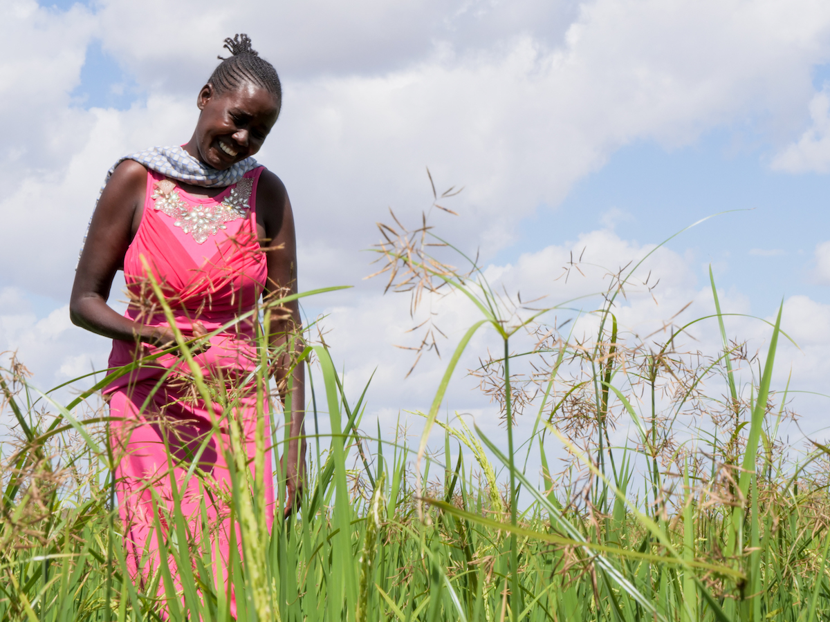 Milcah Njeri stands in front of her rice farm in Siwa, Bura, Tana River county. Milcah is part of Tumaini sacco that receives support from Concern Worldwide. This support has enabled them to farm rice which has allowed them to be able to provide food for their families as well as access to quality education for their children. (Photo: Eugene Ikua/Concern Worldwide)