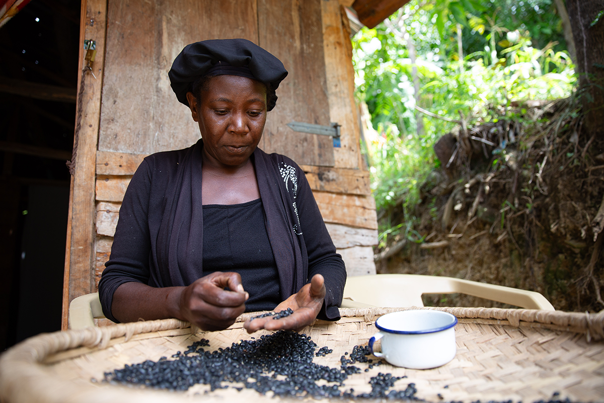 Rosmaine Poliscar sorts beans at her home on a mango plantation in the Centre department of Haiti. (Photo: Kieran McConville/Concern Worldwide)