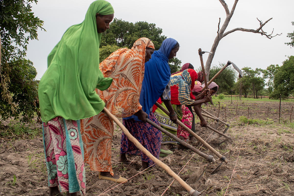 Refugees from Central African Republic work on a community farm near Wedweil displacement site, South Sudan. 