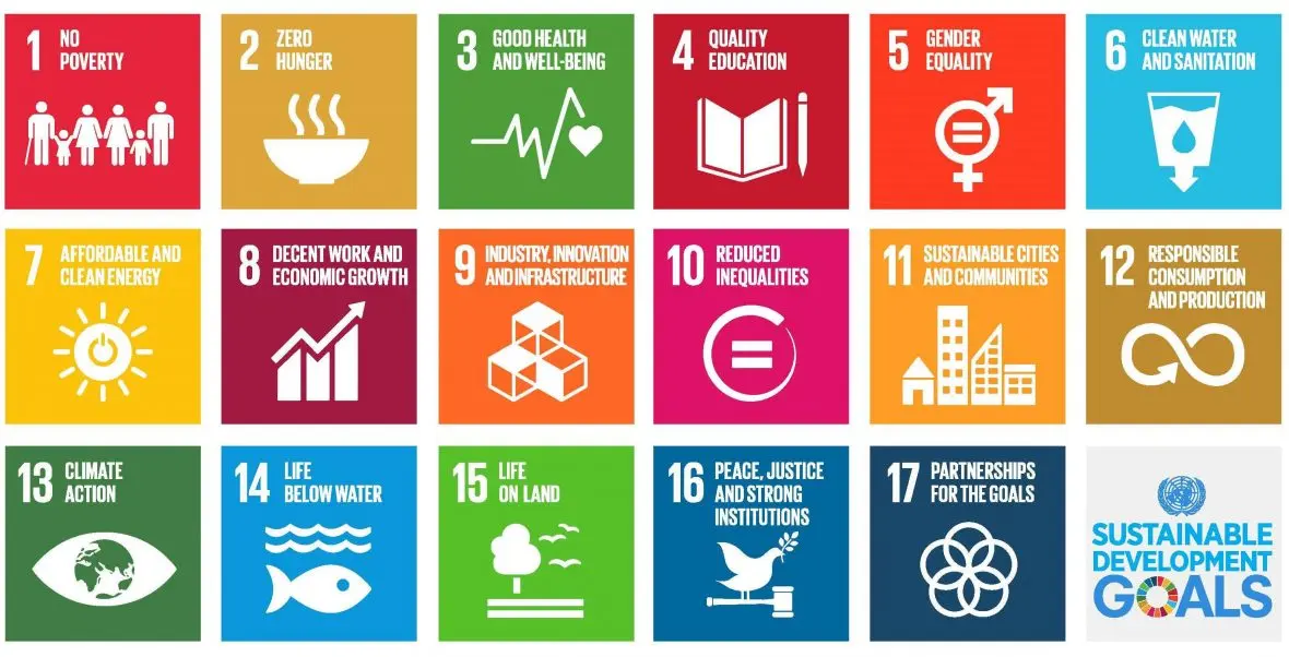 graphic of 17 sdgs