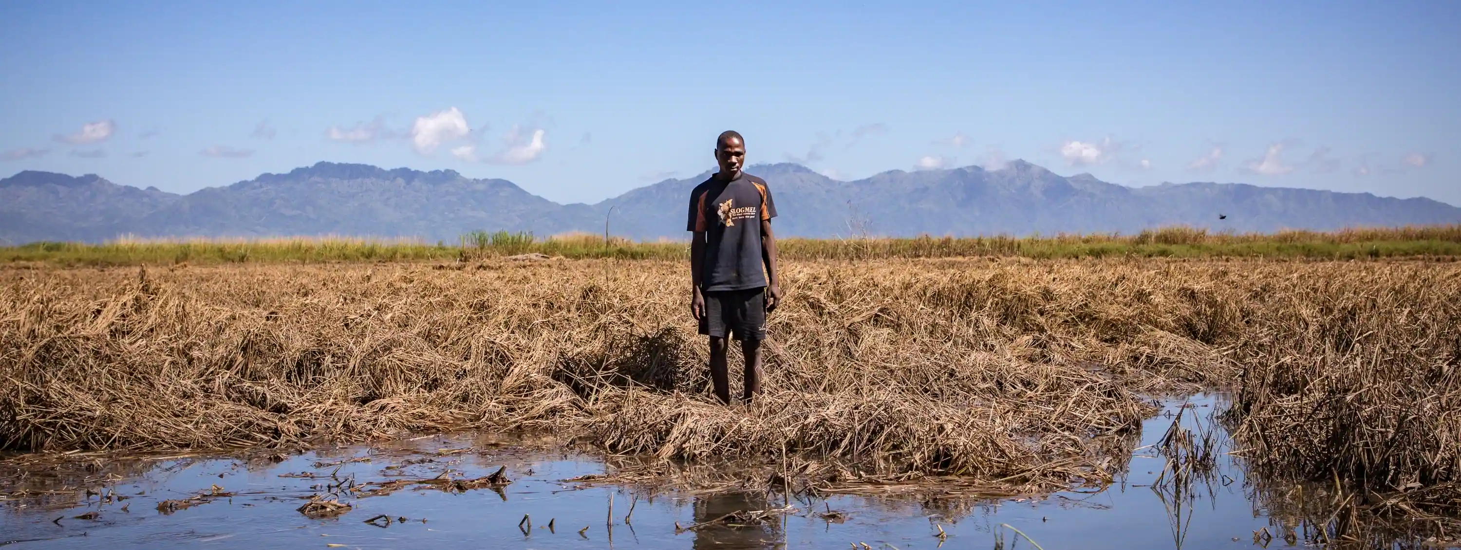 Man stands in an arid field