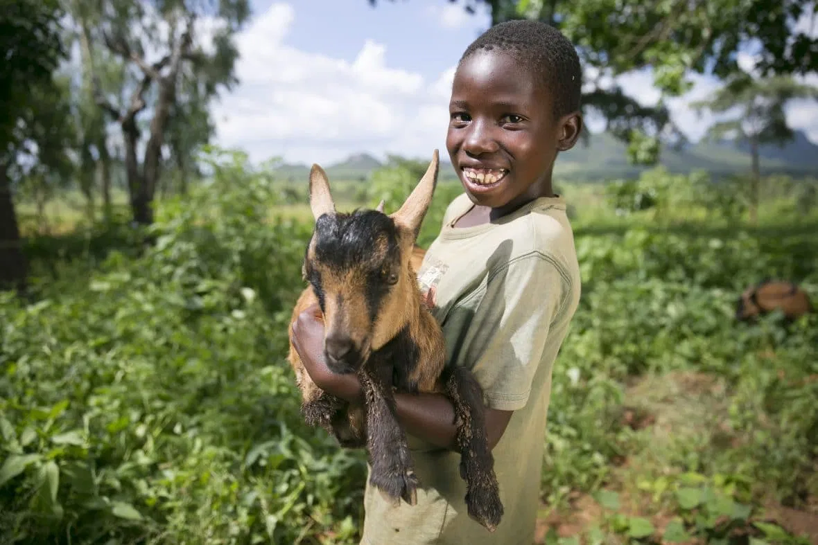 Boy and goat