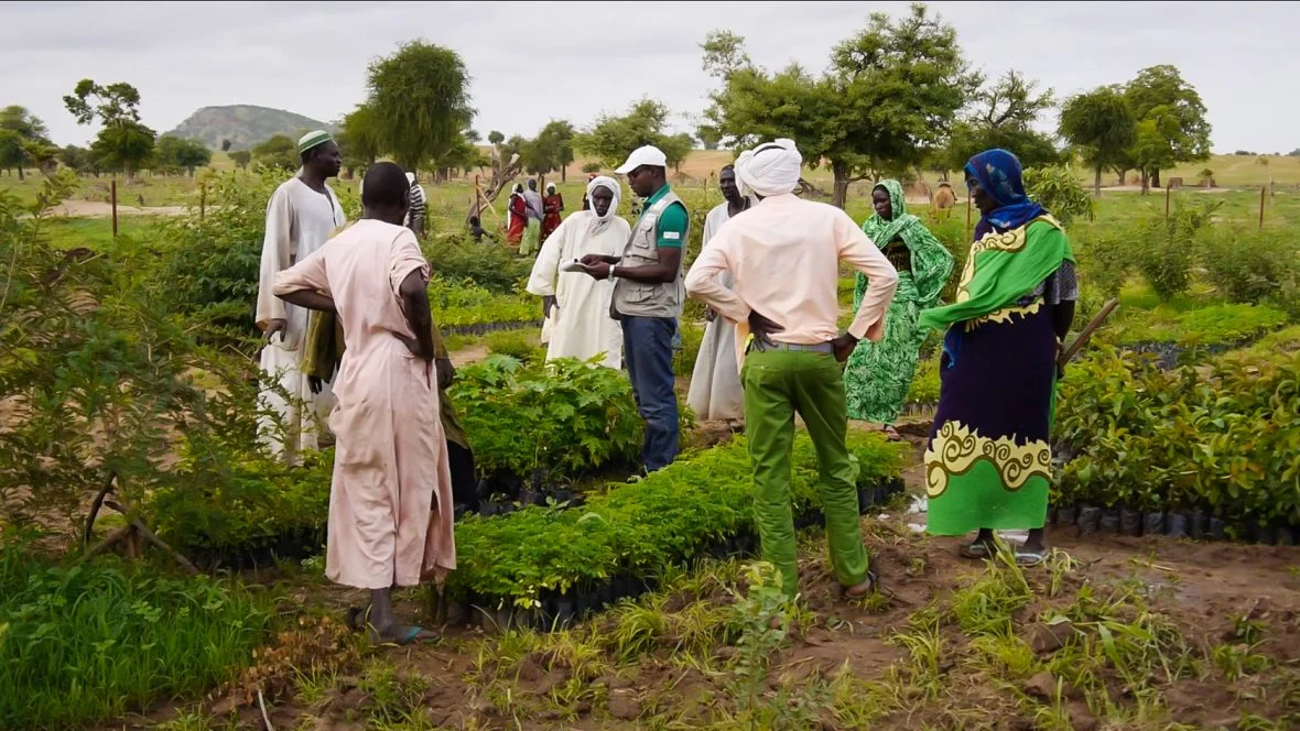 People standing in a field.