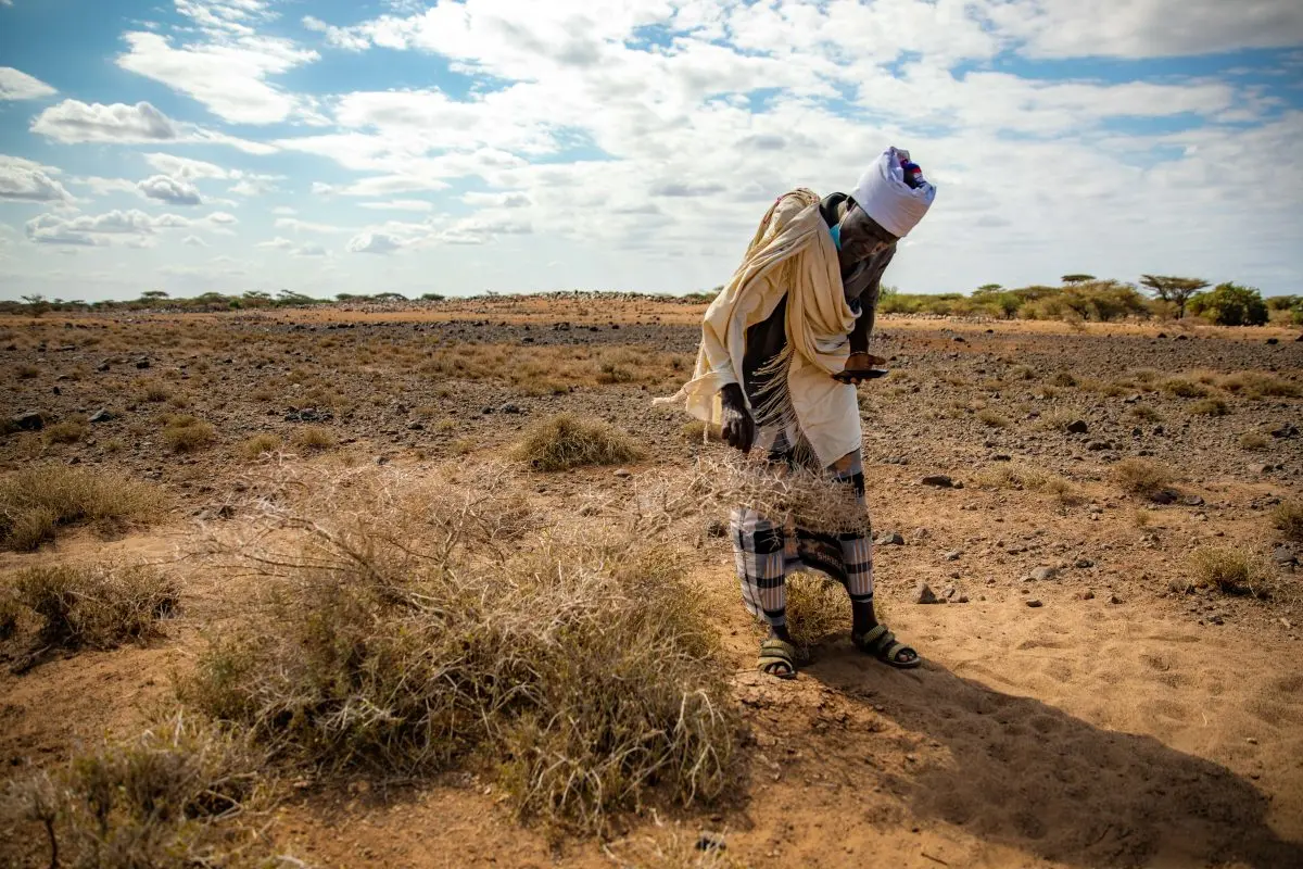 Man standing in desert