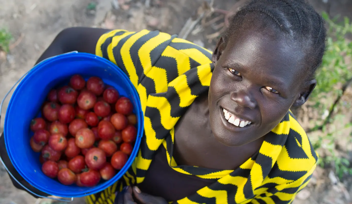 Woman at her group vegetable plot in Panyet and holding a bucket of tomatoes